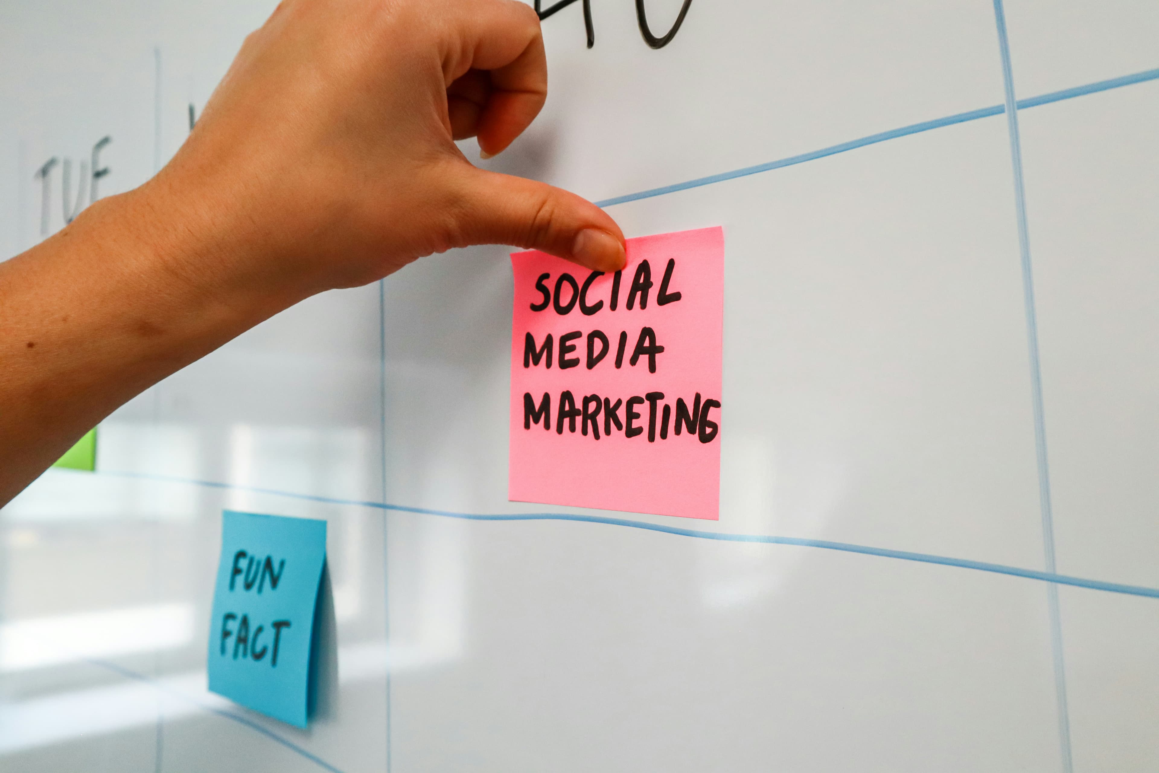 AI Tools for Social Media Content Curation in 2025